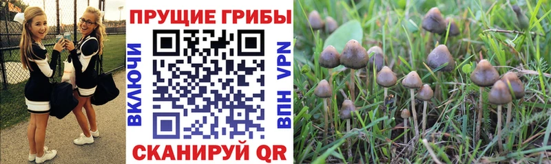 Галлюциногенные грибы мухоморы  Электросталь 